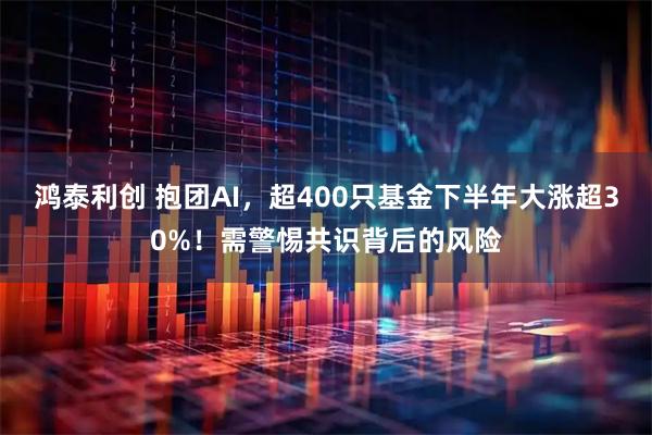 鸿泰利创 抱团AI，超400只基金下半年大涨超30%！需警惕共识背后的风险