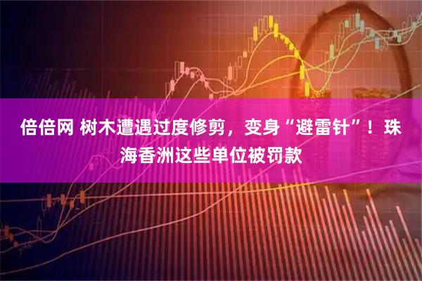 倍倍网 树木遭遇过度修剪，变身“避雷针”！珠海香洲这些单位被罚款