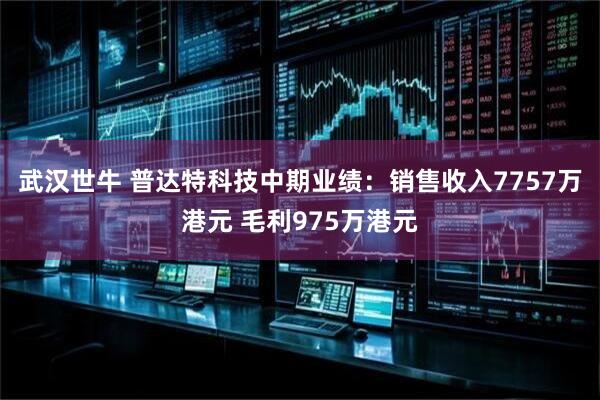武汉世牛 普达特科技中期业绩：销售收入7757万港元 毛利975万港元