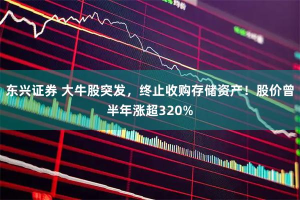 东兴证券 大牛股突发，终止收购存储资产！股价曾半年涨超320%